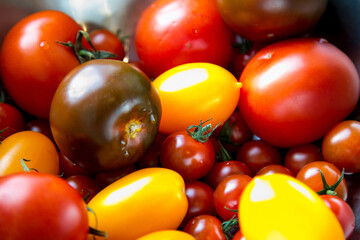 red and yellow cherry tomatoes