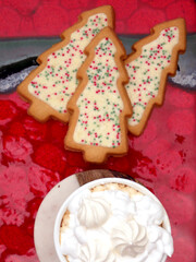 Fototapeta na wymiar Hot chocolate with whipped cream and homemade shortbread cookies in Christmas time. 