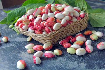 young beans on a plate, close up
