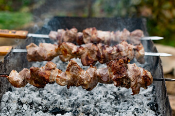 Mouth- watering skewers of pork with a toasted Golden crust and smoke flavor. Barbecue with coals in the yard in nature with cooked meat on skewers