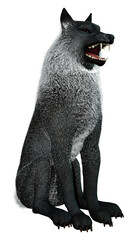 3D Rendering Black Wolf on White