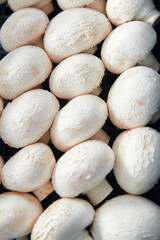 Organic farmed champignon mushrooms, pattren