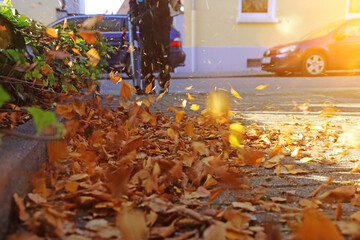 Beseitigung von Herbstlaub