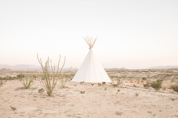 teepee in the desert © Brandi Nellis