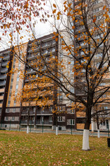 trees standing in front of a multi-storey building