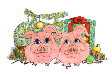 Drawing of two funny pigs on a background of gifts and surprises on a white background isolated.