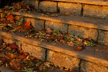 Old stone steps with wood treads covered with leaves