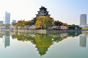 広島城 天守閣と桜