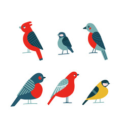 Birdwatching icon set. Red Northern cardinal, robin chickadee bird pose. Abstract flat cartoon flat vector. City park backyard birds sign. Minimalism simplicity design. Wildlife banner element.