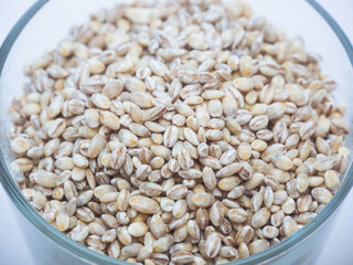 Close up of Unhulled barley in transparent glass cup