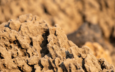 Soft Rock Formations By The Beach