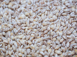 Top view of unhulled unpolished barley background image