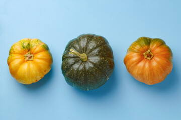 Set of different color pumpkins on blue background