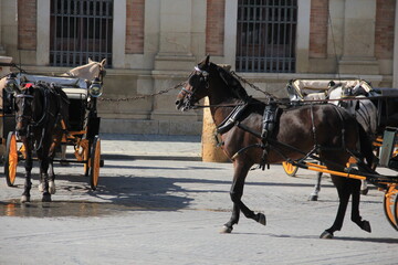seville voyage 