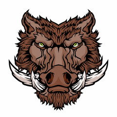Wild boar head mascot. 