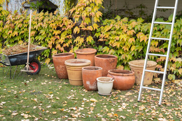 Fototapeta na wymiar Fall cleanup garden tools and empty flower pot