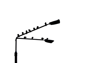 abstract lamp with birds pigeon