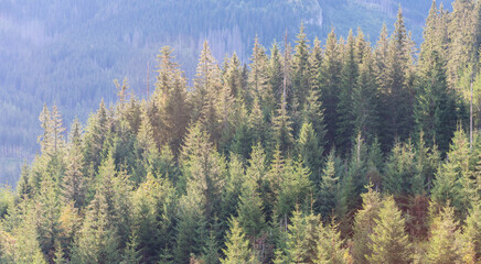 Landscapes with a tourist on a background of mountains and lakes with evening lighting