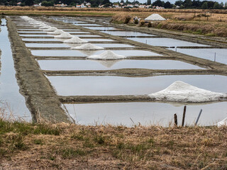 marais salants sur l'île de Noirmoutier en France