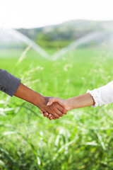Business women shaking hands in a green field with sprinkles
