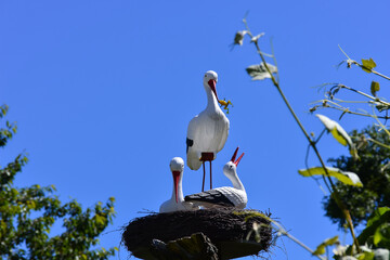 A stork feeds its children as a decoration for the garden