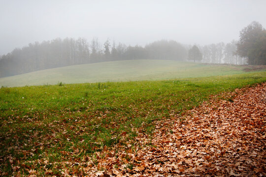 Autunno in collina con un cielo grigio e nebbioso