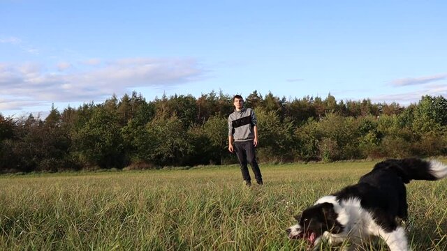 Slow Motion of Border Collie Chasing Blue Ball Thrown by Caucasian Young Man on the Field. Handsome Man in Hoodie Plays Outside with Black and White Dog in Nature.