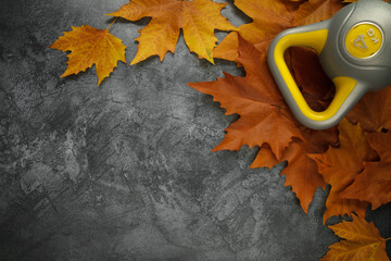 Heavy kettlebell and autumn leaves. Gym flat lay composition with copyspace, healthy fitness lifestyle fall concept.