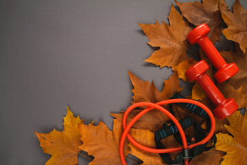 Two red dumbbells and expander training equipment for workout. Gym flat lay composition with autumn...