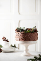 Christmas cake with chocolate