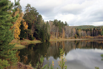 Fototapeta na wymiar Amazing autumn landscape. Colorful trees on the shore of a forest lake.