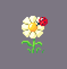 Pixel ladybug on blooming flower.