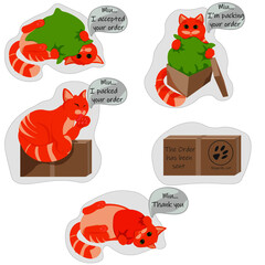 Funny cat statuses for chatbot and online store