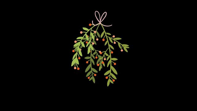 mistletoe winter christmas decoration foliage greenery festive illustration alpha channel transparent background