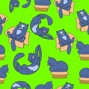 seamless background with cats in the box