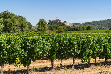 Fototapeta na wymiar View of the vineyards and the Provencal village of Ansouis