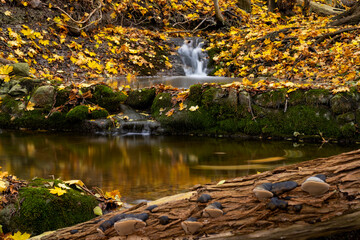 Autumn colored leafs next to an small stream in forest landscape