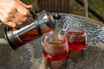 紅茶セット　Set of warm Darjeeling tea - obrazy, fototapety, plakaty