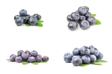 Set of bilberry isolated on a white background cutout