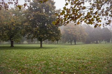 Foggy autumn morning in a park in City Zalaegerszeg, Hungary