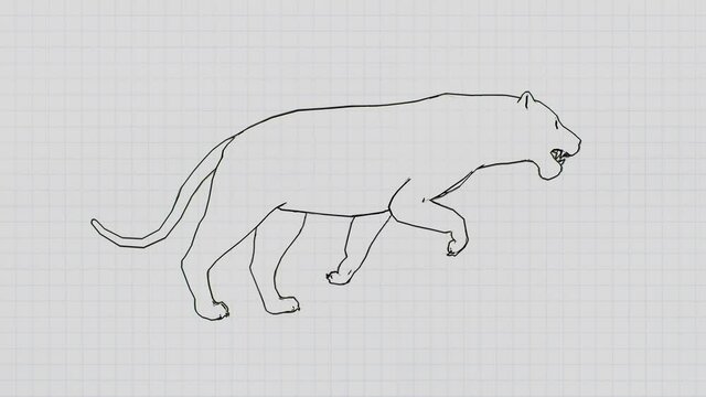 A drawn adult cat runing forward on a paper background. Animation of a runing cat on a notebook background.