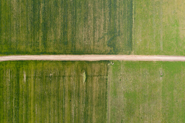 country road, view from above, aerial view