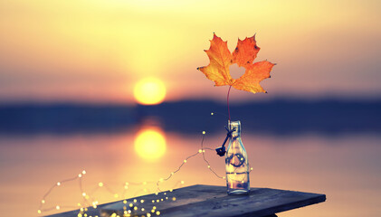 buntes Herbstblatt am See