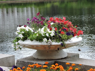 Fototapeta na wymiar Vase with flowers and pond in summer Saint-Petersburg