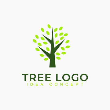 Nature trees logo design vector illustration. Tree vector icon