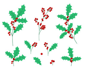 Christmas holly mistletoe leaves and berries vector illustration