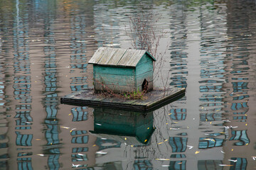Old green duck house