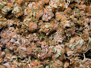 dry cannabis buds, close up view