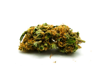 dry cannabis bud
