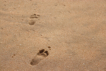 Fototapeta na wymiar footprints in the sand. Human foot prints on seashore. Foot prints on beach